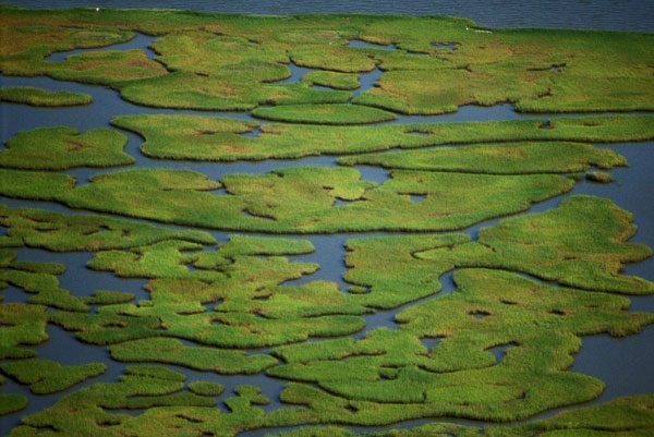 A maze of marsh along the coast helps reduce the impacts of storms on coastal communities.