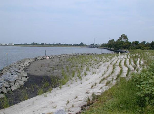 An example of a living shoreline next to the Duke University Marine Lab in Beaufort, NC