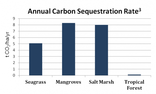 carbon sequestration rate carbon sequestration rate