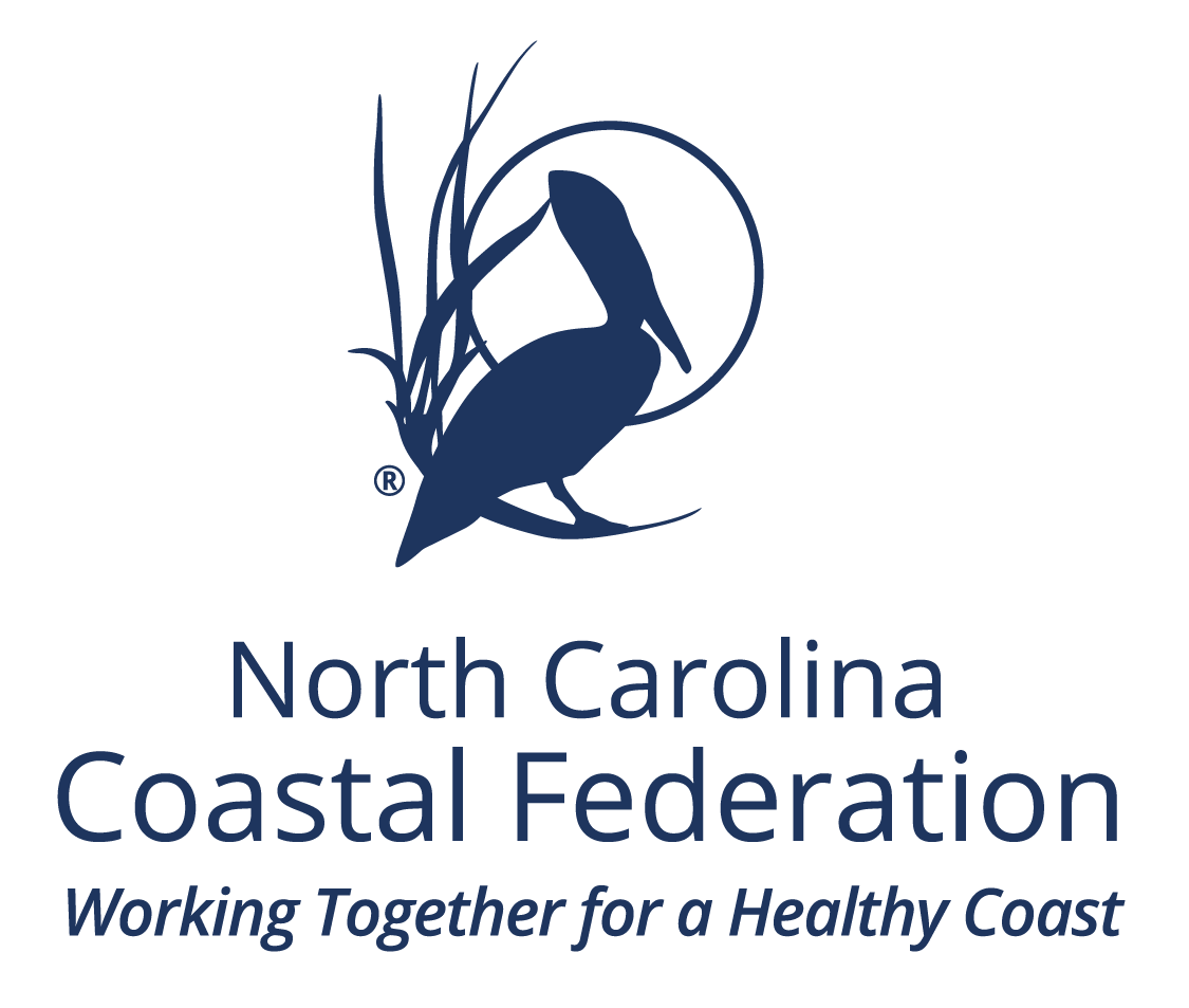NCCF-logo-stacked