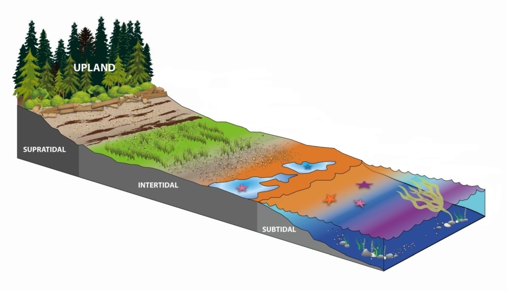 Estuary Info - Restore America's Estuaries