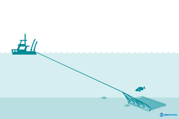 coastal dredging data