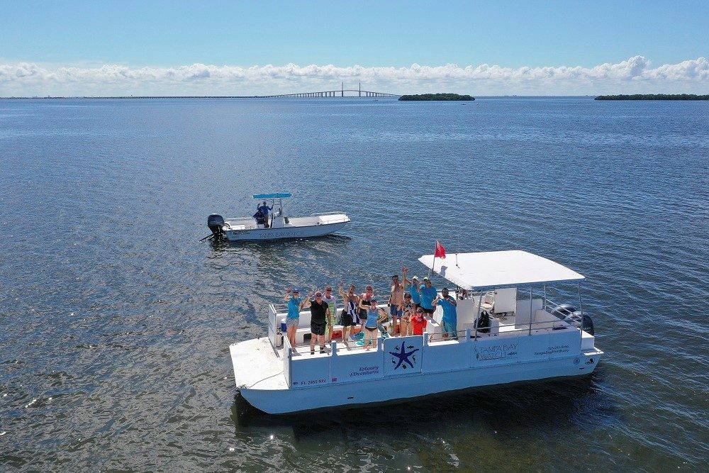 Bringing Back Tampa Bay's Seagrass