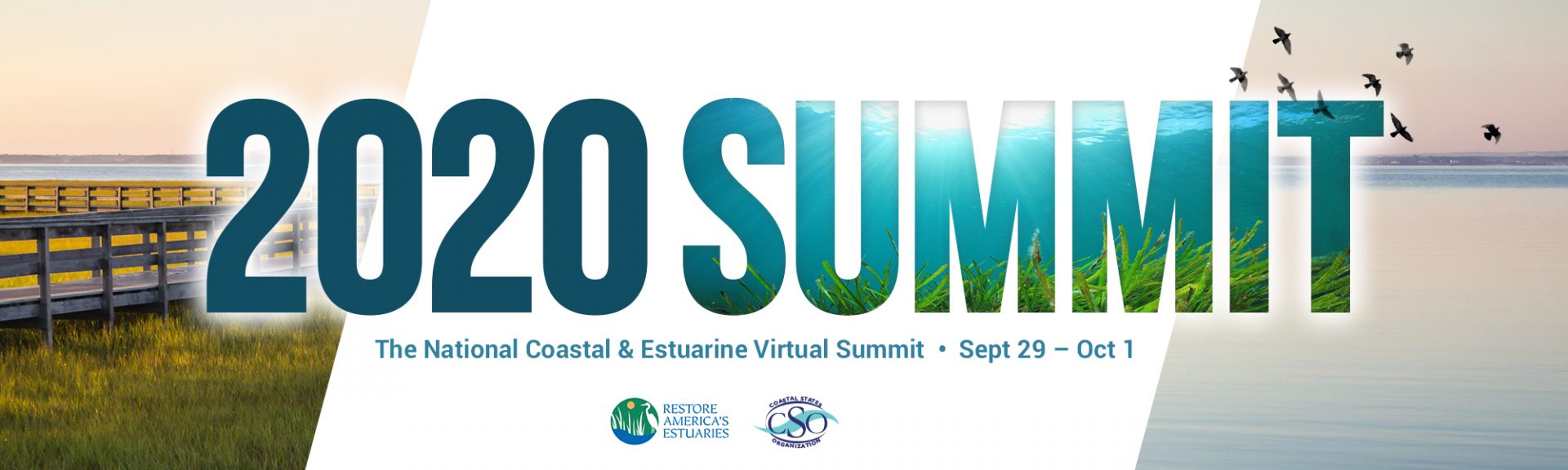 RAE-Summit2020-Banner-FINAL-1
