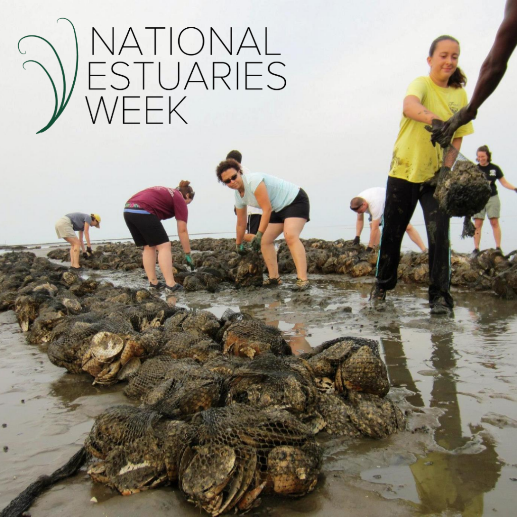 National Estuaries Week Restore Americas Estuaries 4098