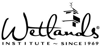 wetlands-new-AI_2 (1)