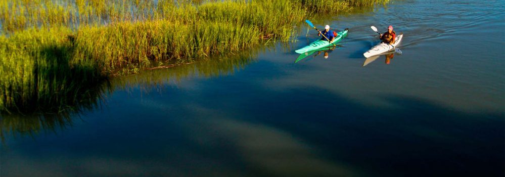 kayakers in an estuary celebrating world seagrass day