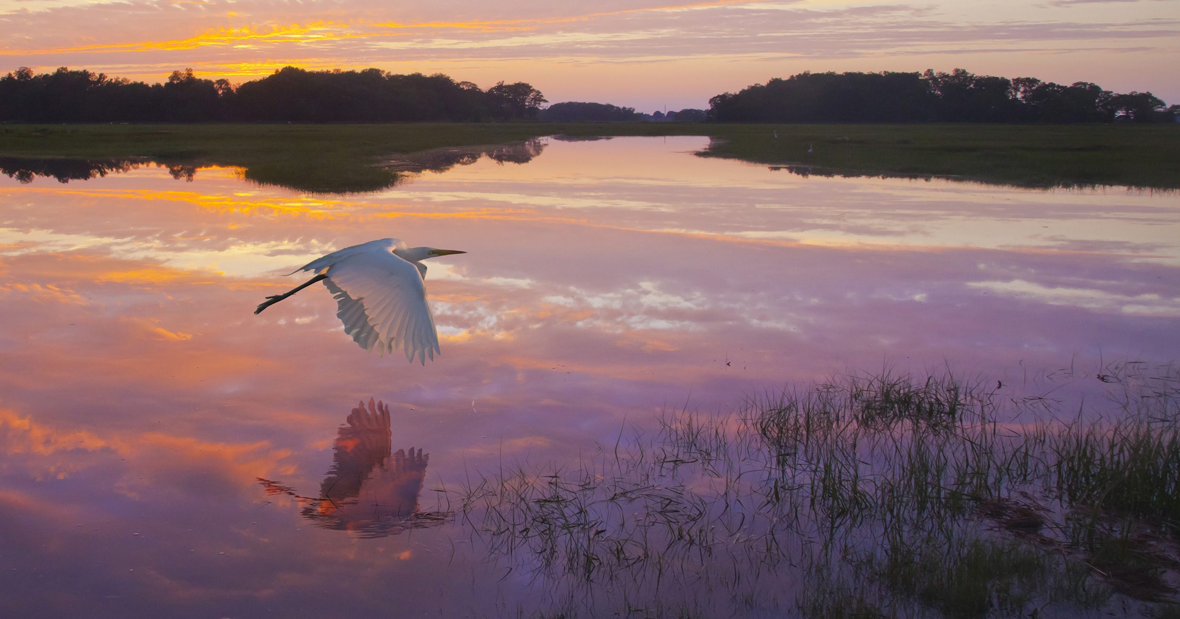 Why are estuaries important? ~ Restore America's Estuaries