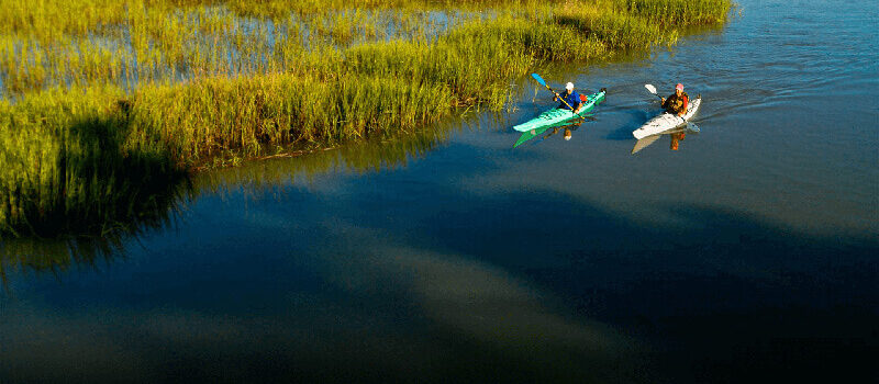 kayakers in an estuary celebrating world seagrass day