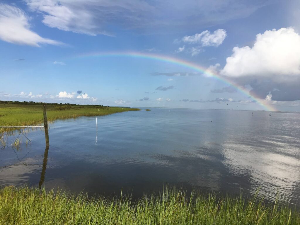 Field Trips , Join, Volunteer ~ Restore America's Estuaries