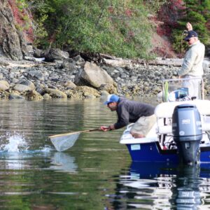 Fly fishing for cutthroat trout from a boat in Hood Canal